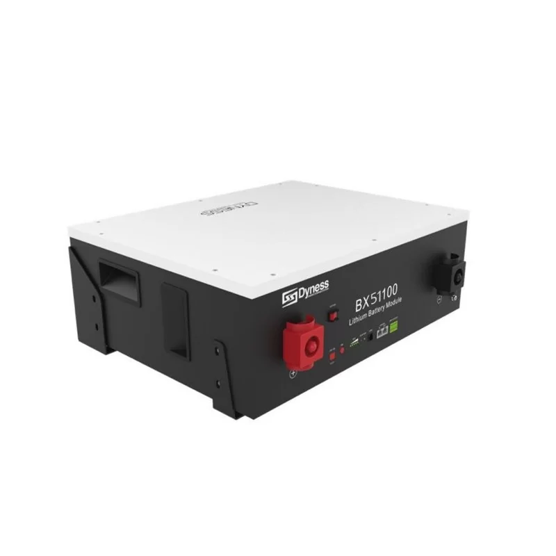 Dyness Battery Lithium Ion 5.12Kwh 51.2V 100Ah Dyness Battery Lithium Ion 5.12Kwh 51.2V 100Ah