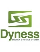 dyness lithium ion battery